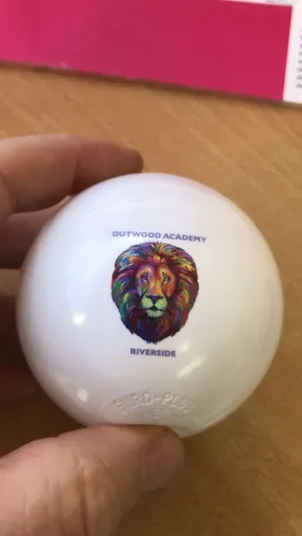 Full-colour lion design printed on a white ball