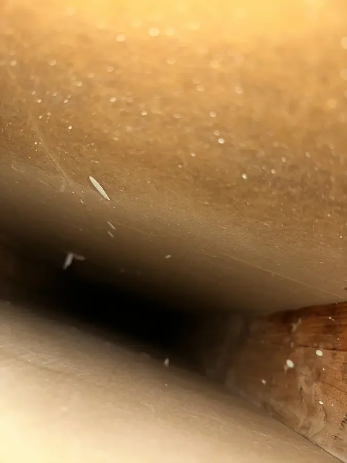 Close-up buildup: after cleaning