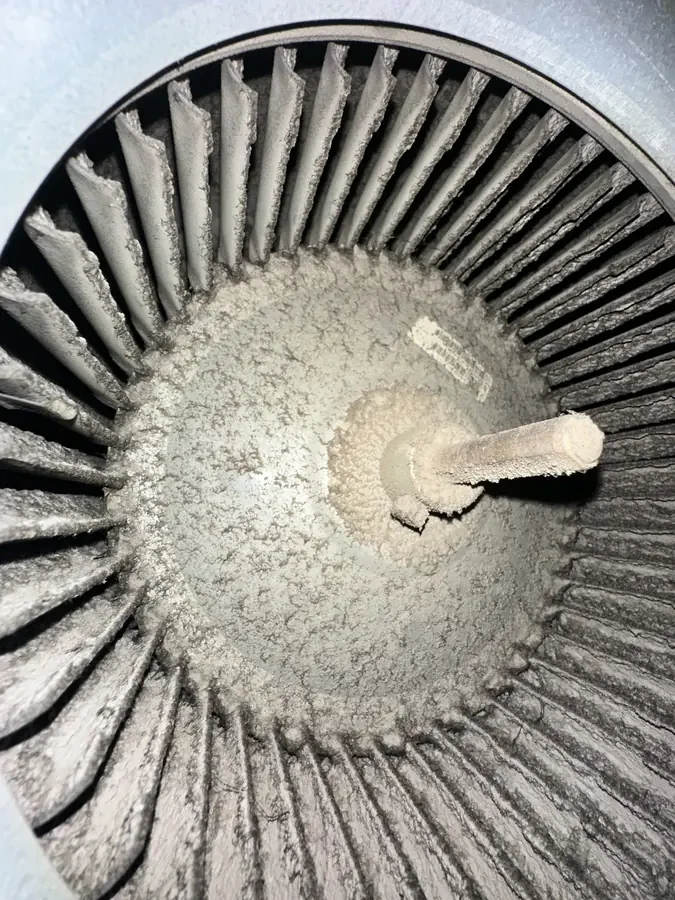Blower wheel: before cleaning