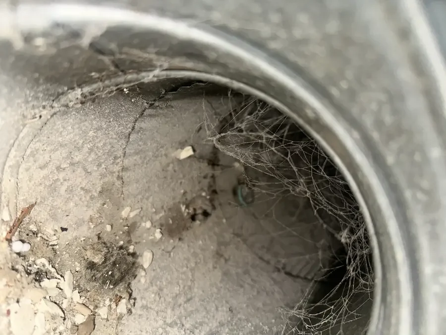 Dust and cobwebs: before cleaning