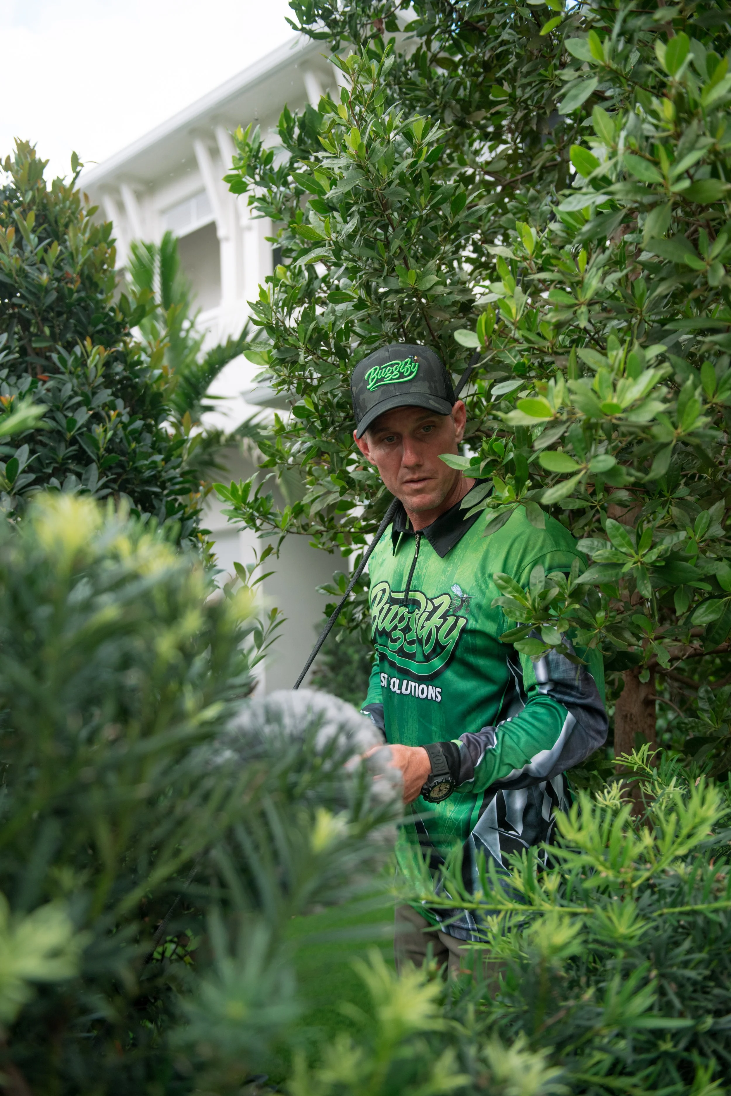 Buggify technician inspecting dense shrubs beside a home