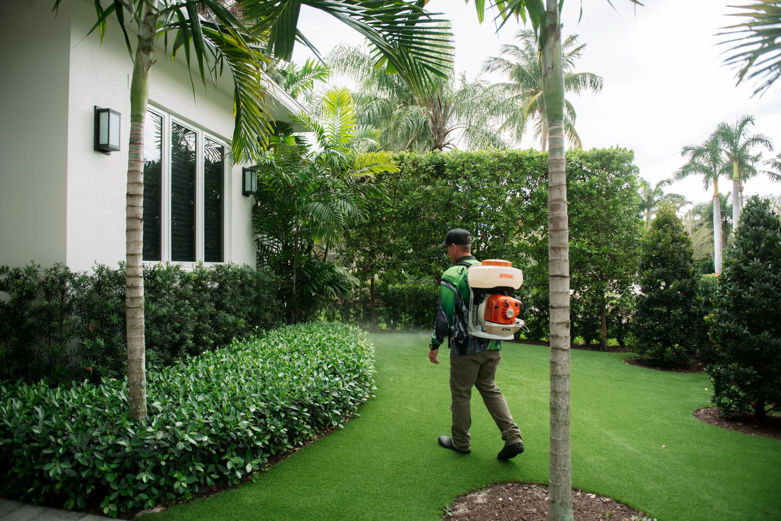 Buggify technician walking a lawn with a mist-blower between hedges and palms