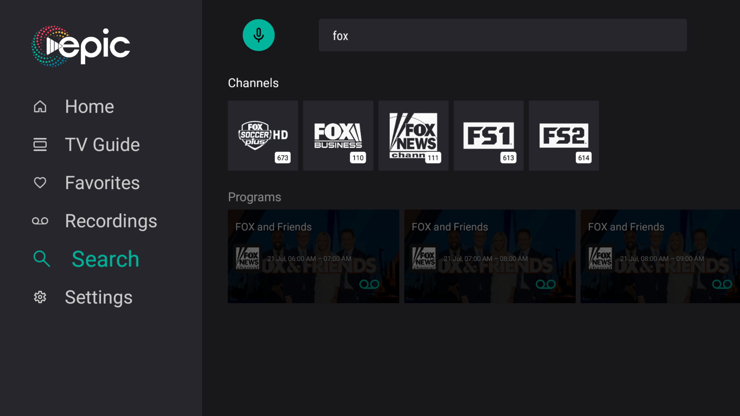 EPIC search interface