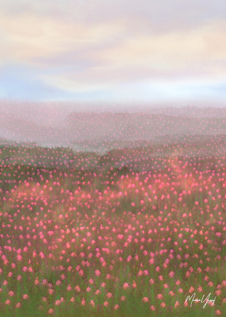 Field — original artwork by Munira Yussuf