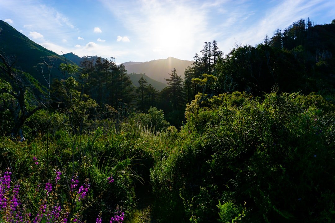 Mountain landscape in the Pacific Northwest