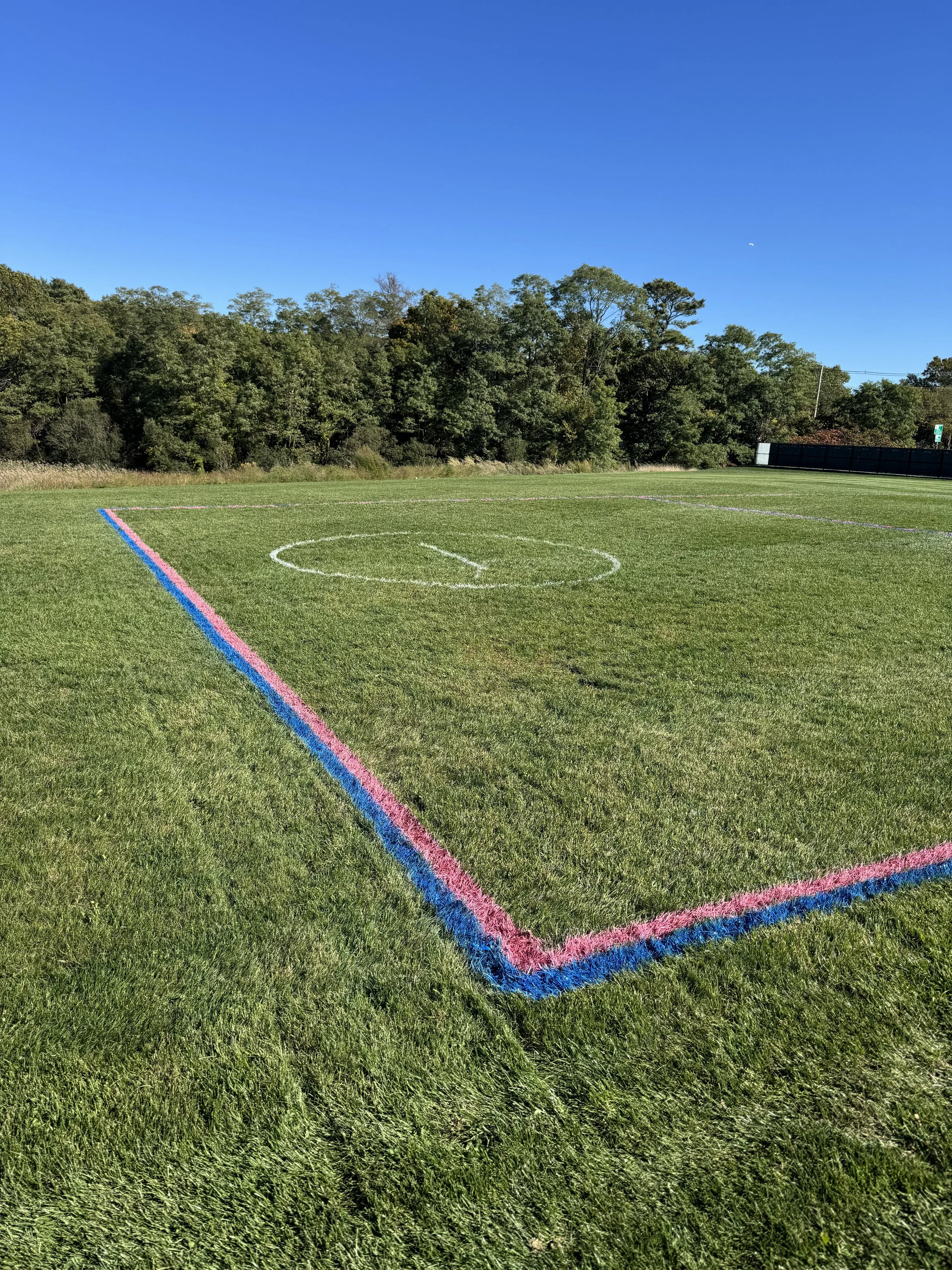 Corner of a freshly painted athletic field