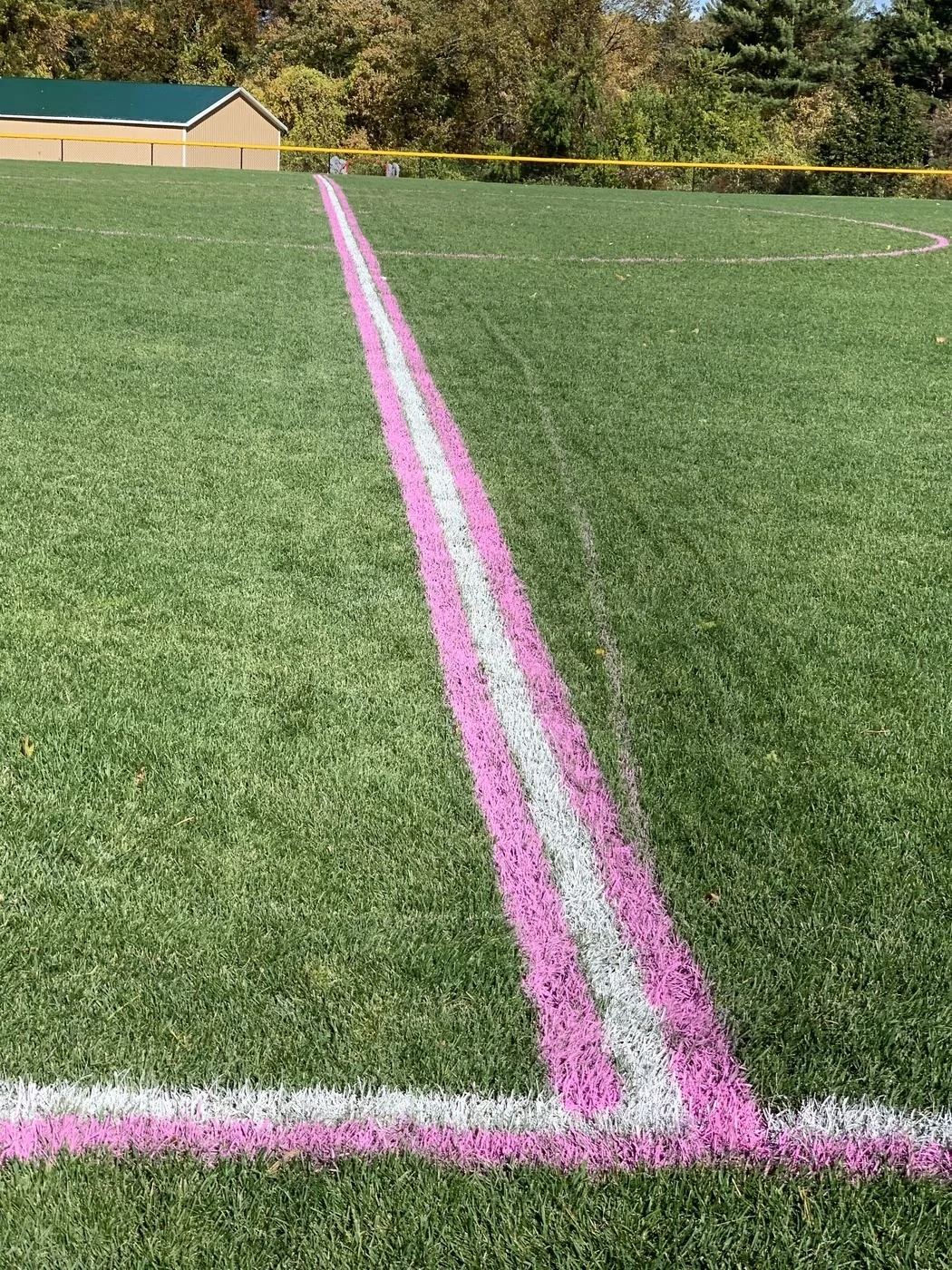Pink and white soccer field boundary and center circle lines