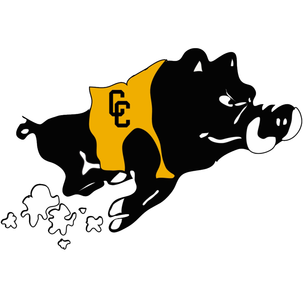 Colquitt County Packers
