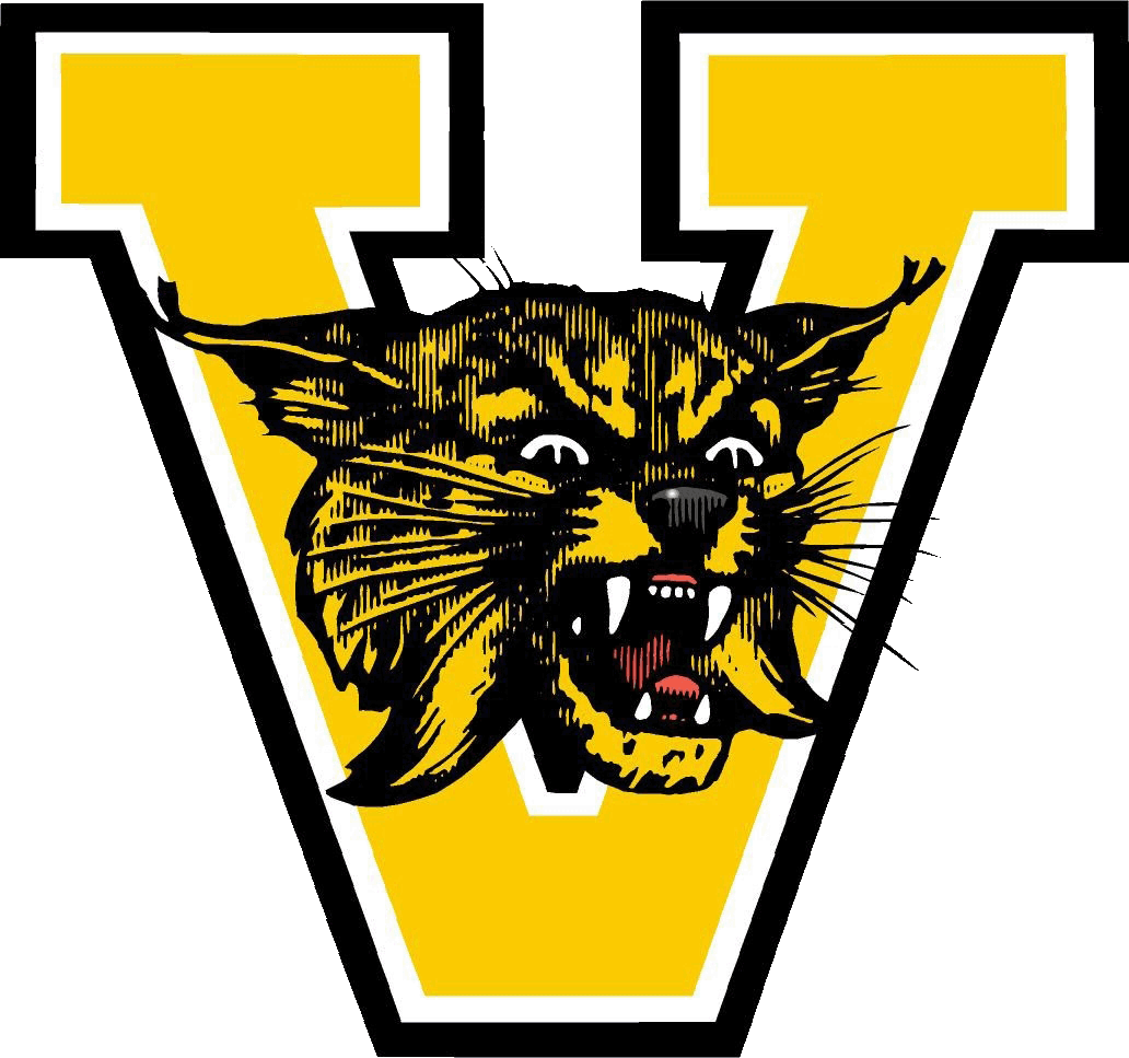 Valdosta Wildcats logo