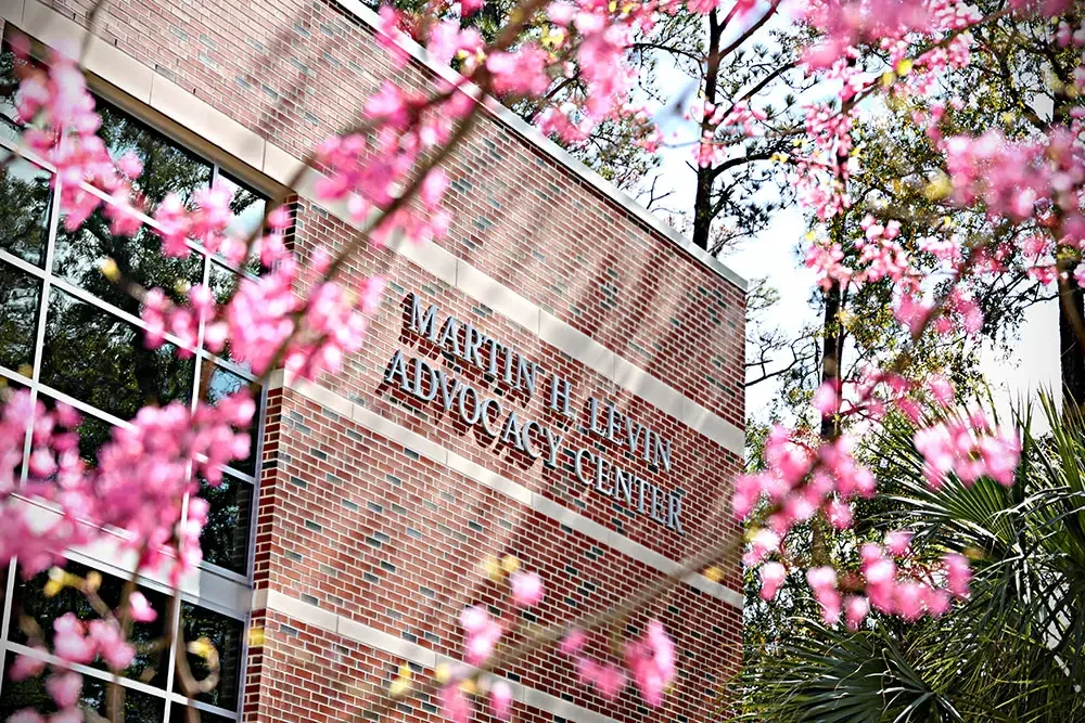 Brick facade of the Martin H. Levin Advocacy Center at the University of Florida, seen through spring blossoms.