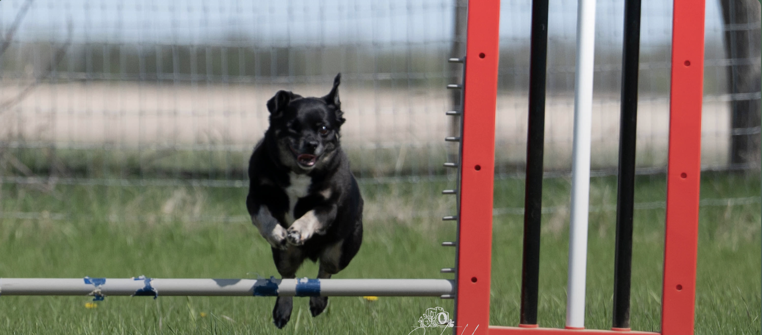 Agility AM gallery cover