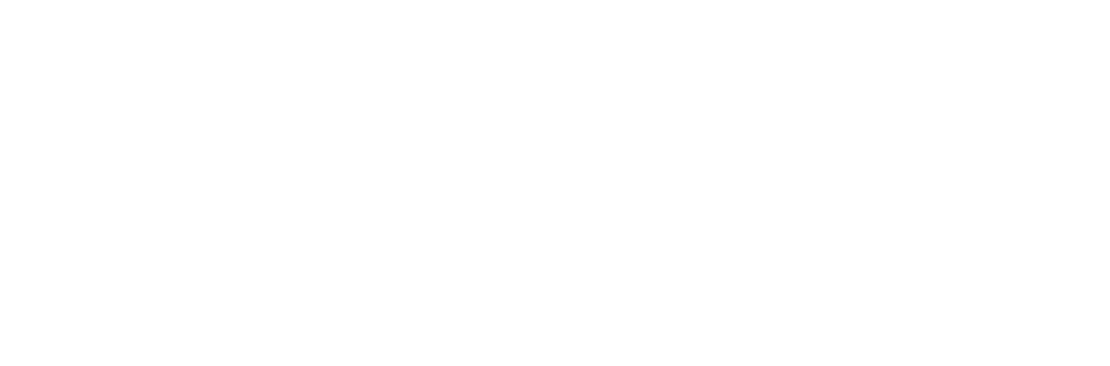LEAD Fellows