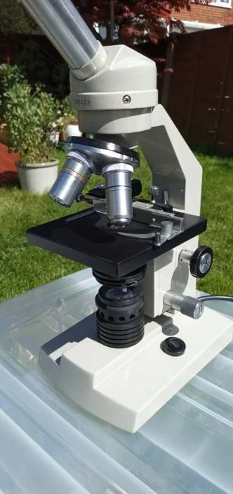 Compound microscope