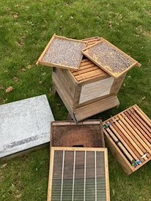 FDBKA virtual hive