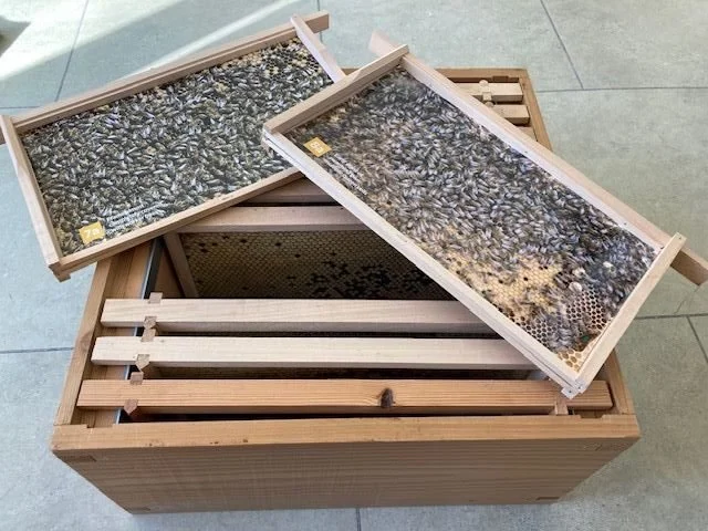 FDBKA virtual hive