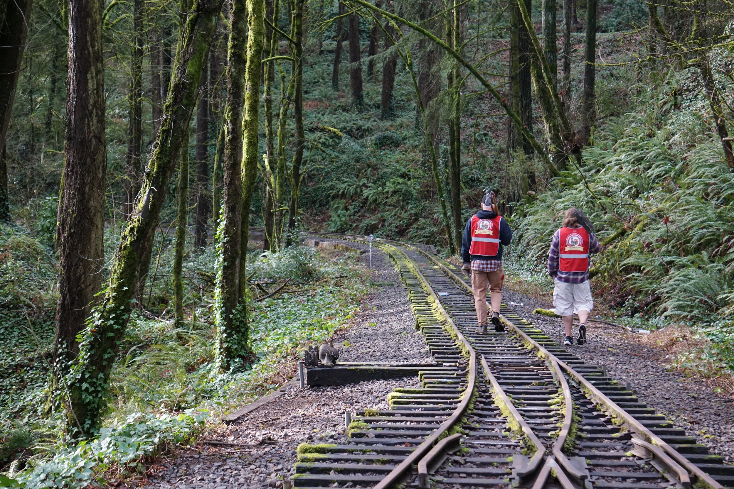It's a Win-Win — Washington Park & Zoo Railway