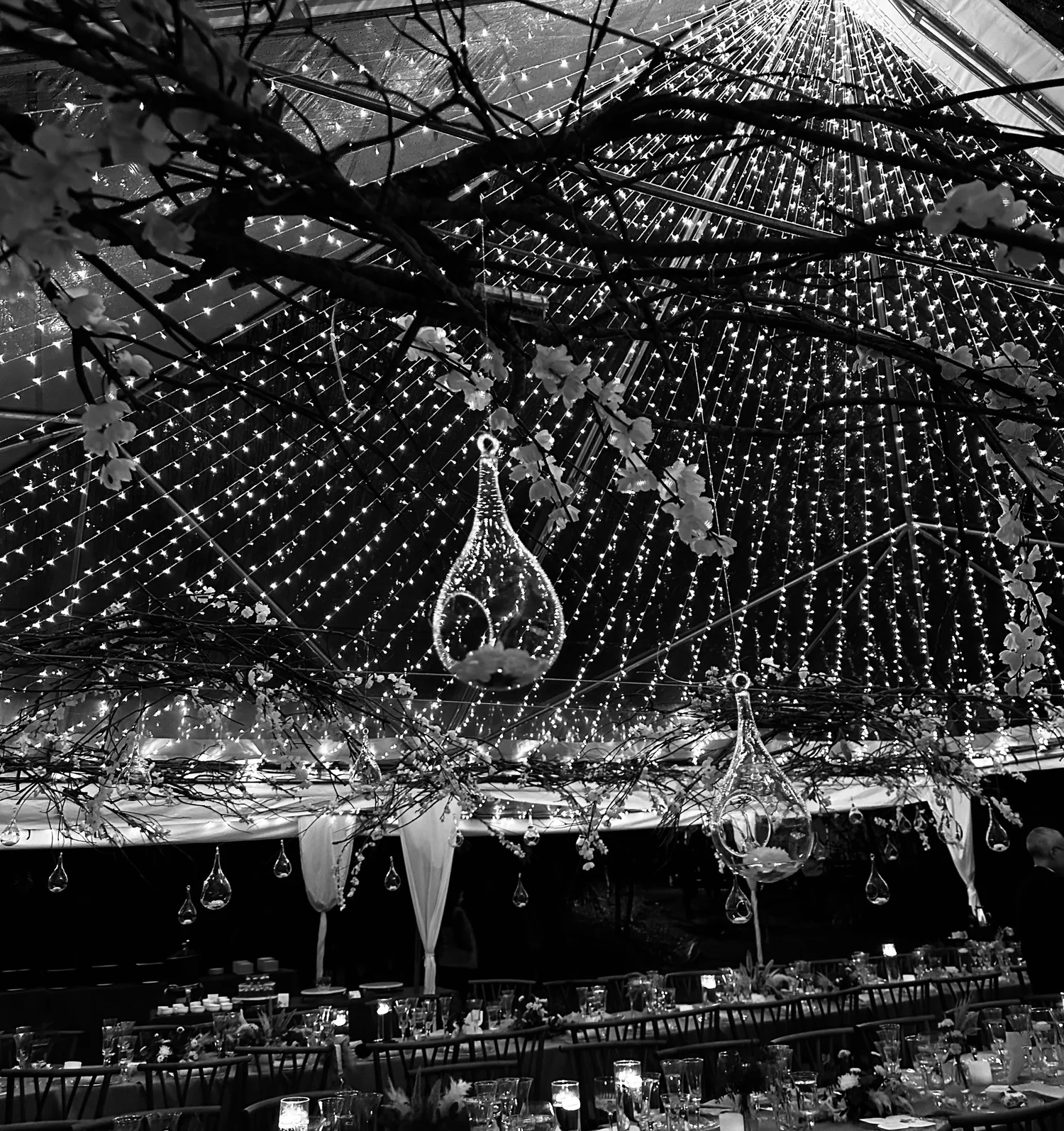 Lámparas de cristal colgando bajo la carpa, vista nocturna en blanco y negro