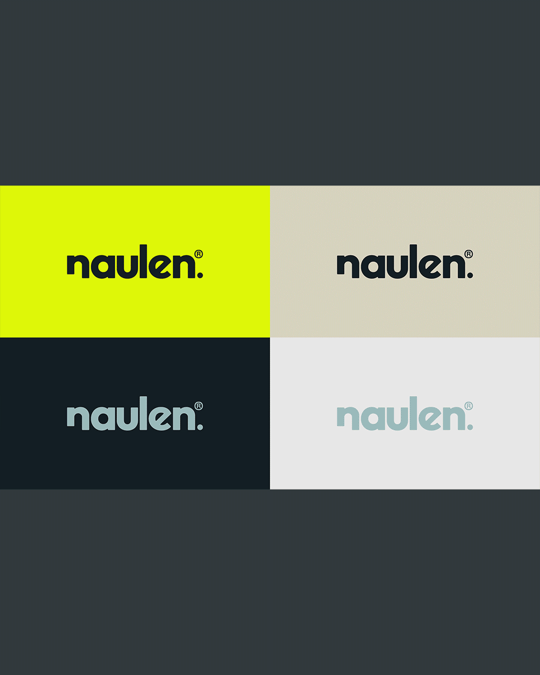 Naulen brand guidelines overview