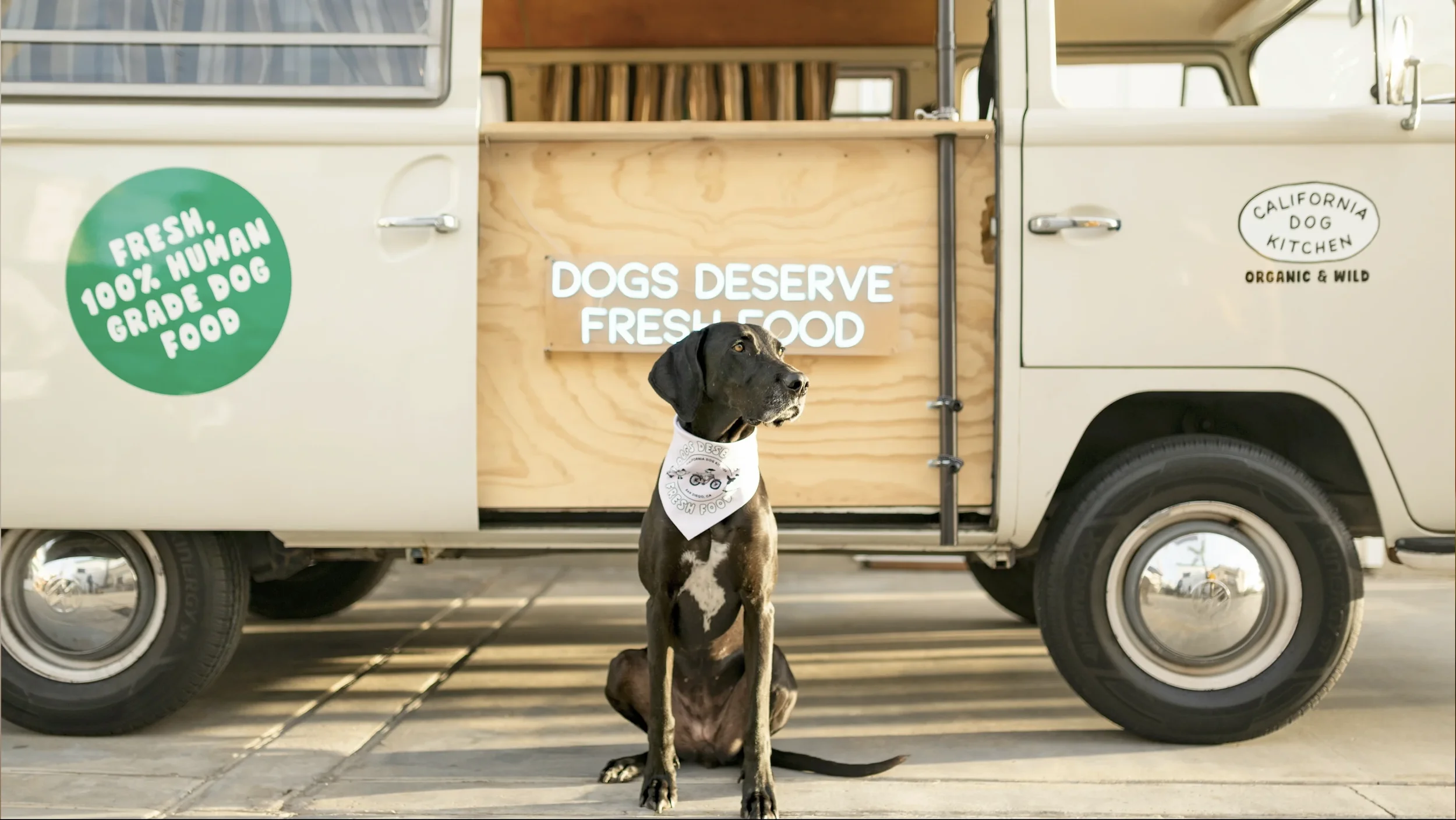 California Dog Kitchen truck and dog