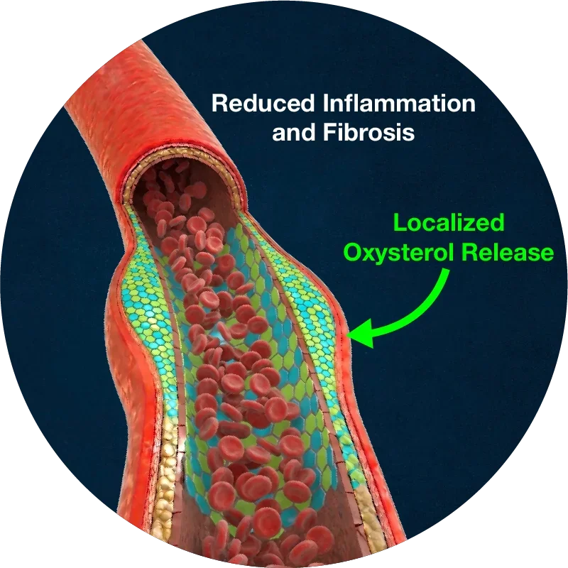 Reduced inflammation and fibrosis within the treated vessel