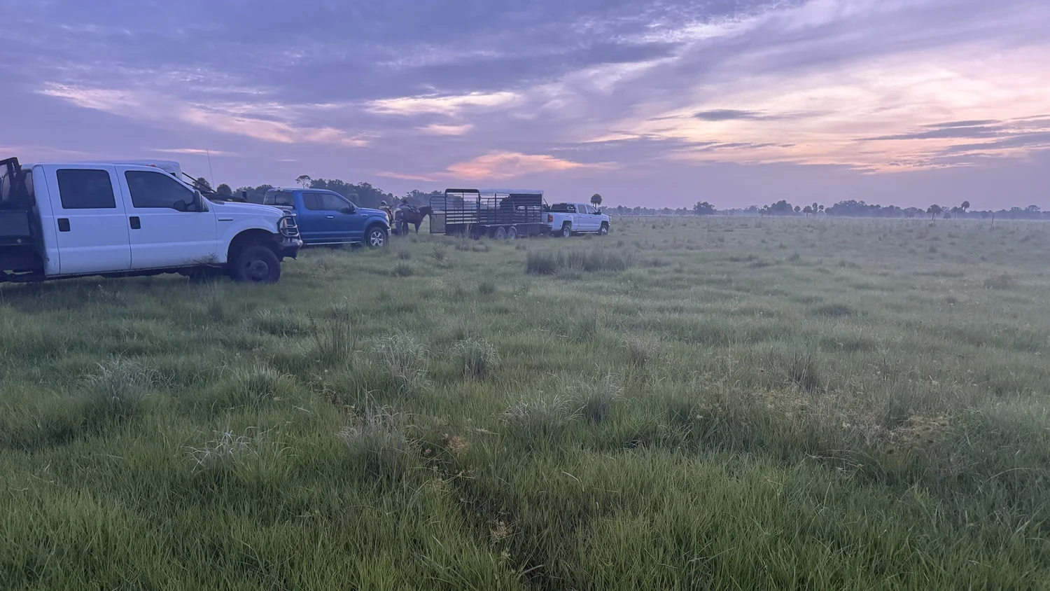 Trucks and trailers at the pasture gate at first light