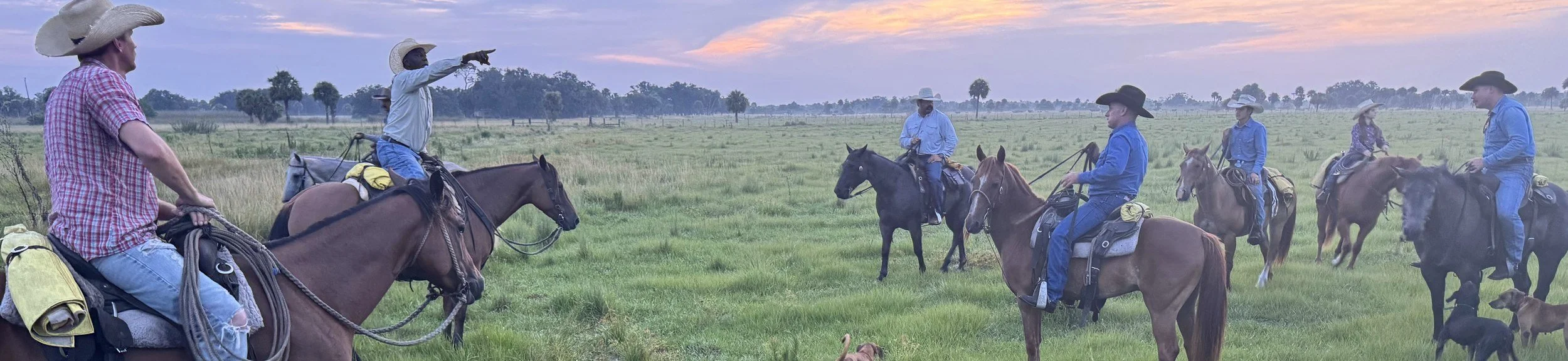 Riders spread across open pasture at sunrise, before the gather