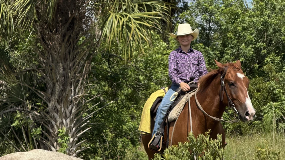A rider works cattle with a rope on open pasture