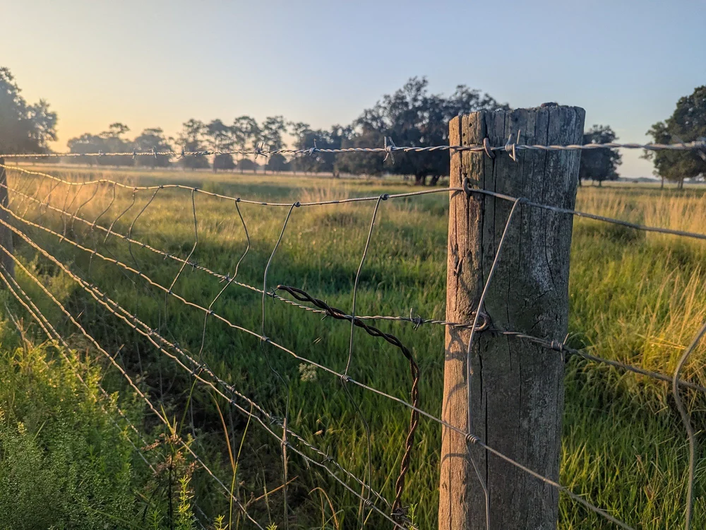 A weathered fence post and wire running out across dew-lit pasture at sunrise