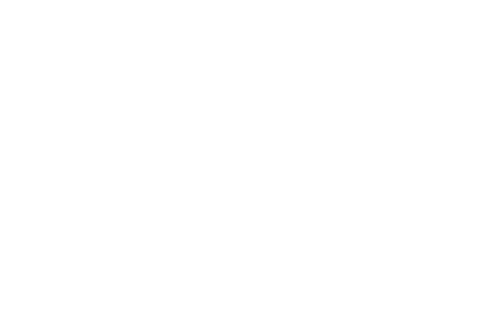 Modelo