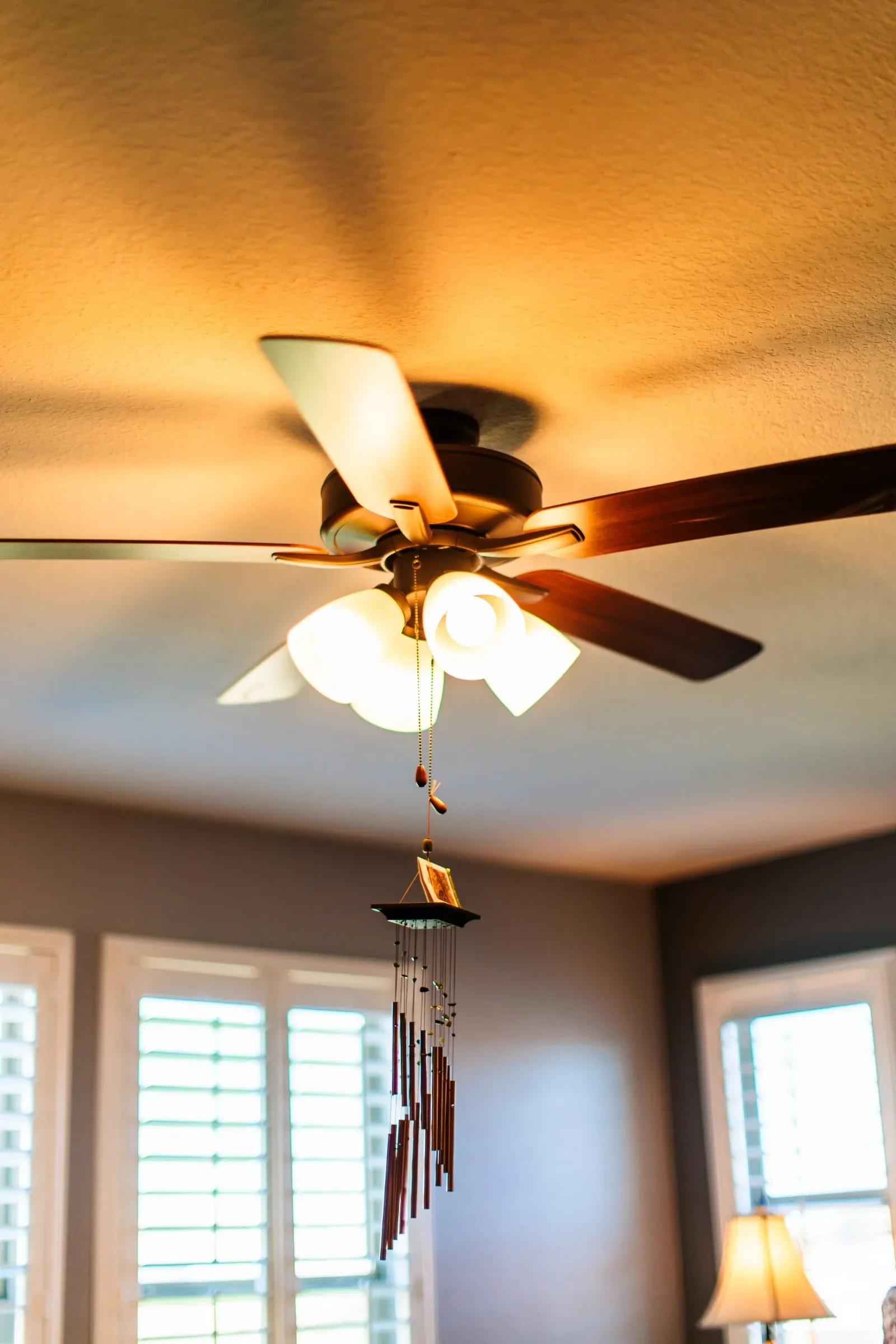RSB ceiling fan light installation portrait
