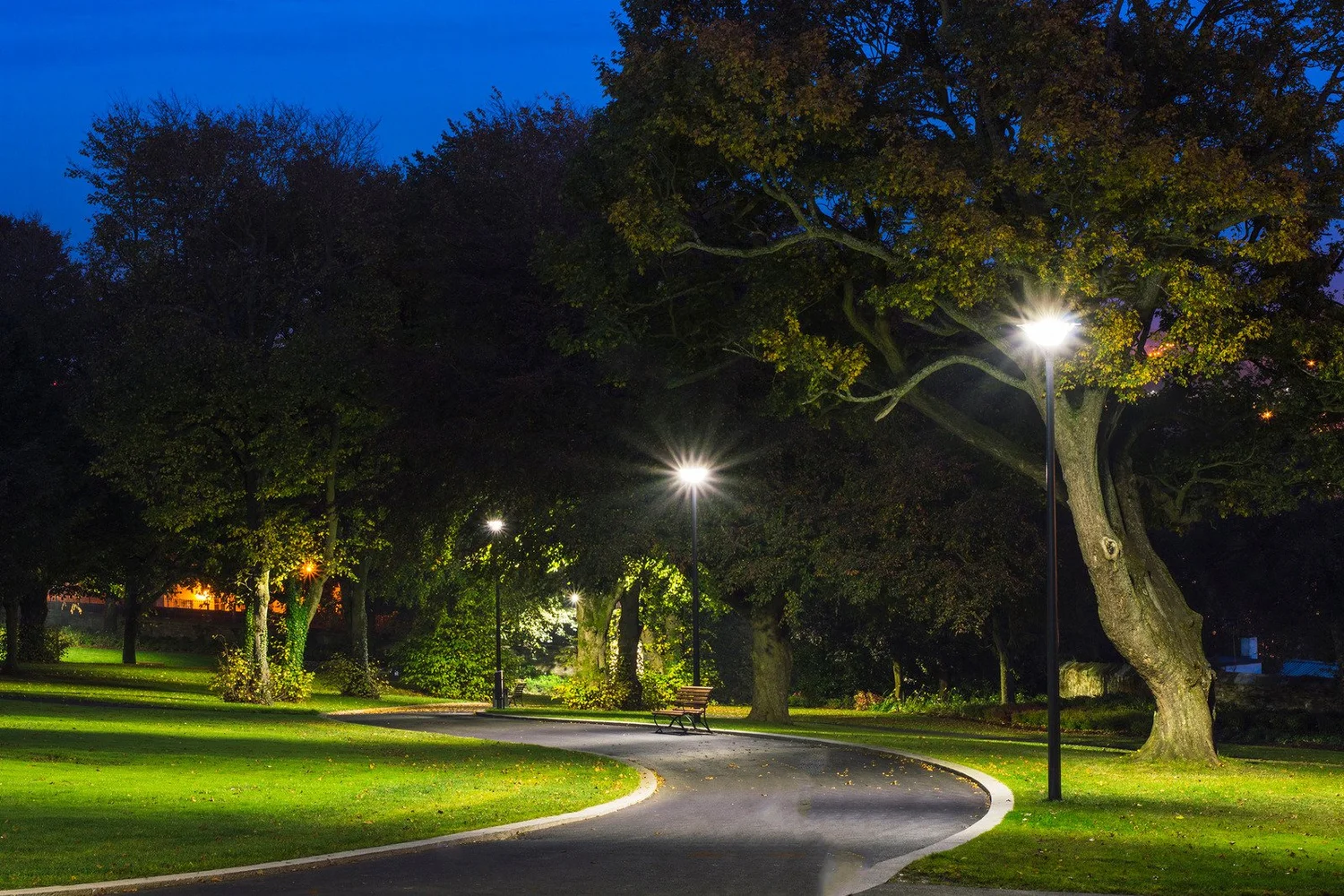 Landscape & Pathway Lighting install detail