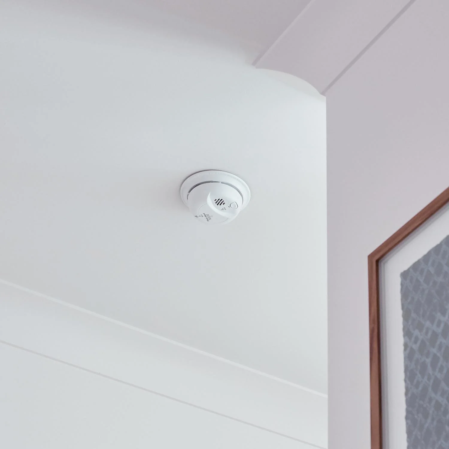 Smoke alarm mounted on the ceiling of a Chesapeake, VA home