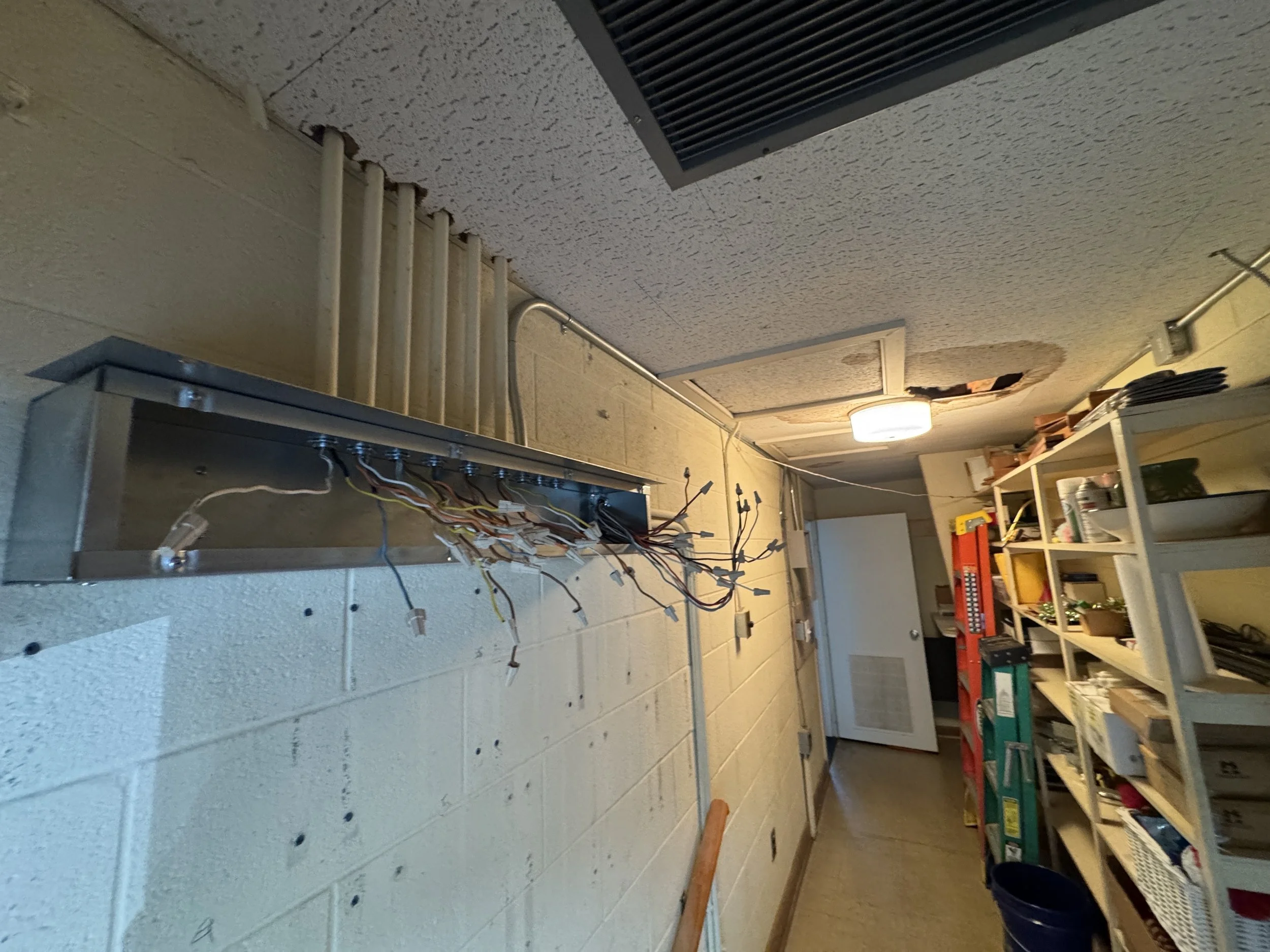Conduit and new wiring run along a commercial ceiling alongside other trades