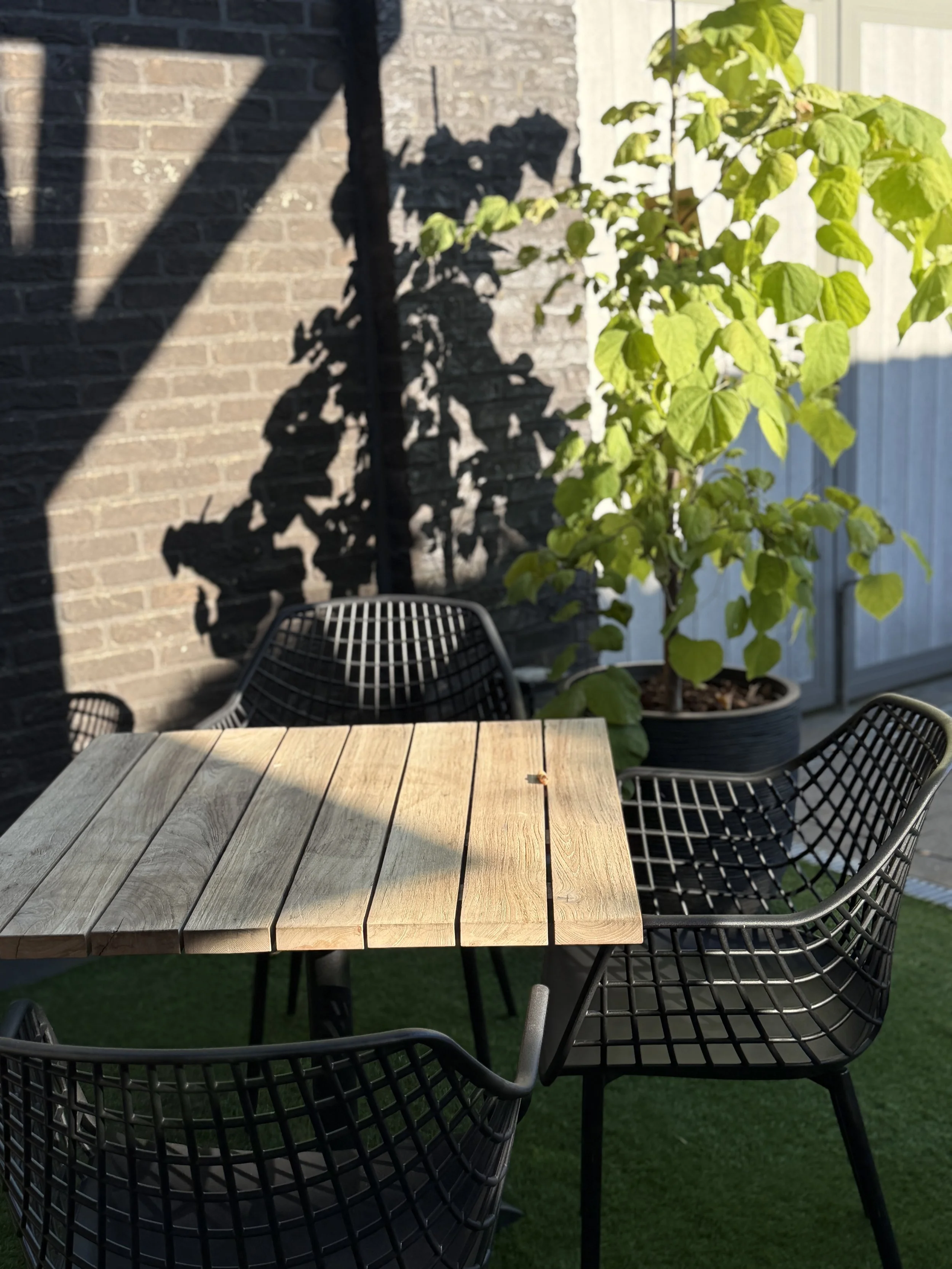 Terras