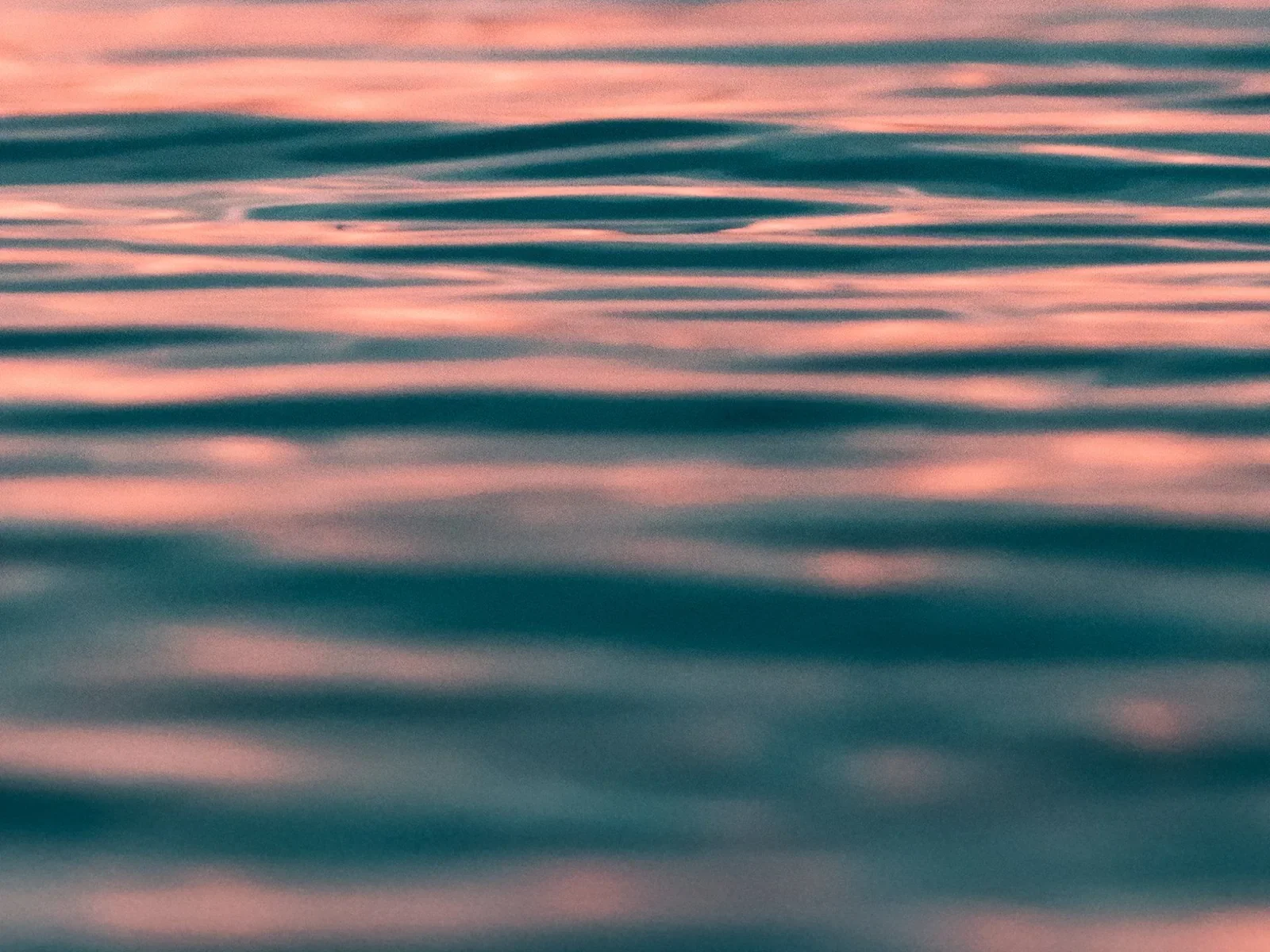 Calm ripples on open water reflecting a soft pink and blue evening sky
