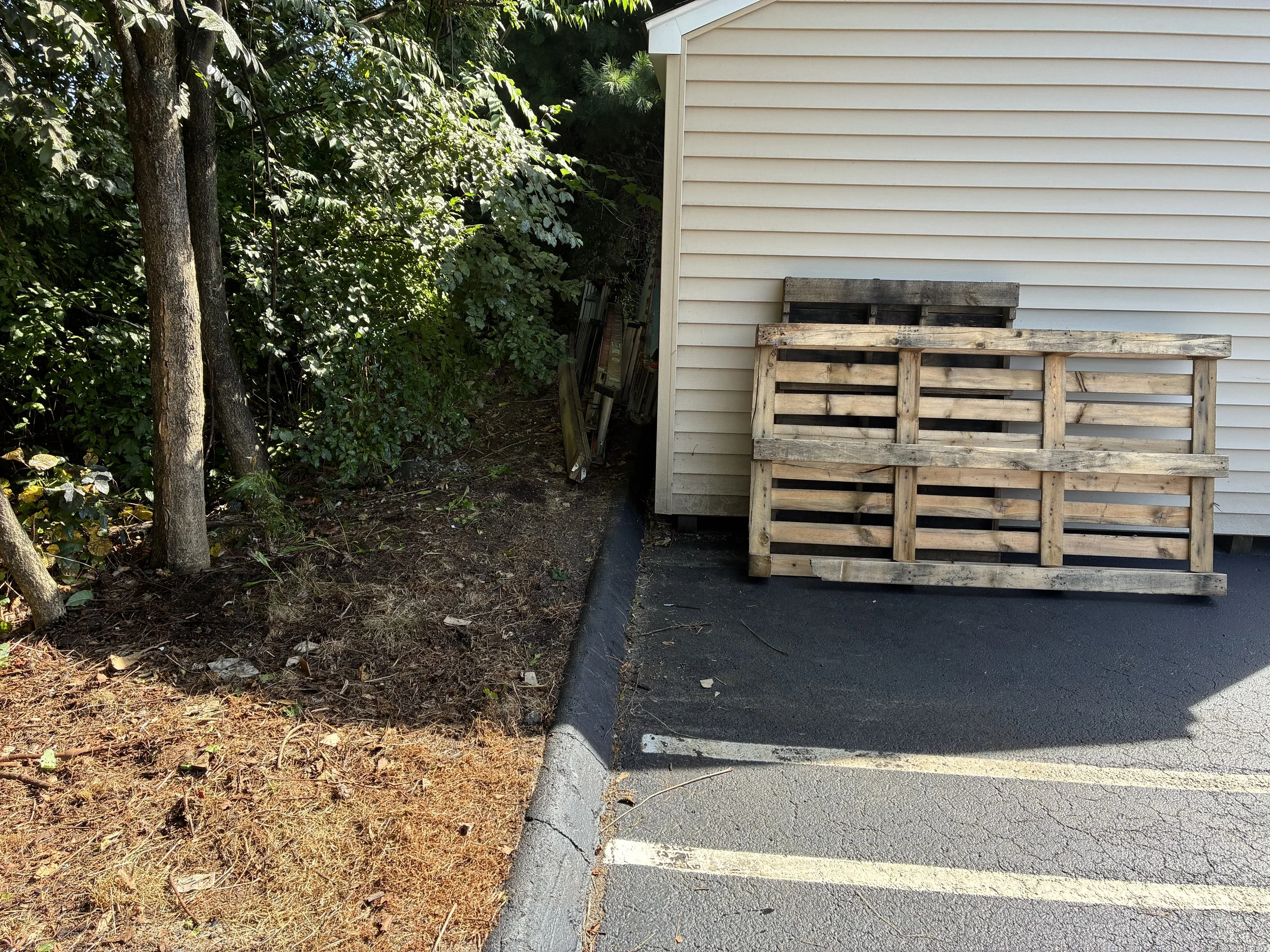 Curbside area after junk removal