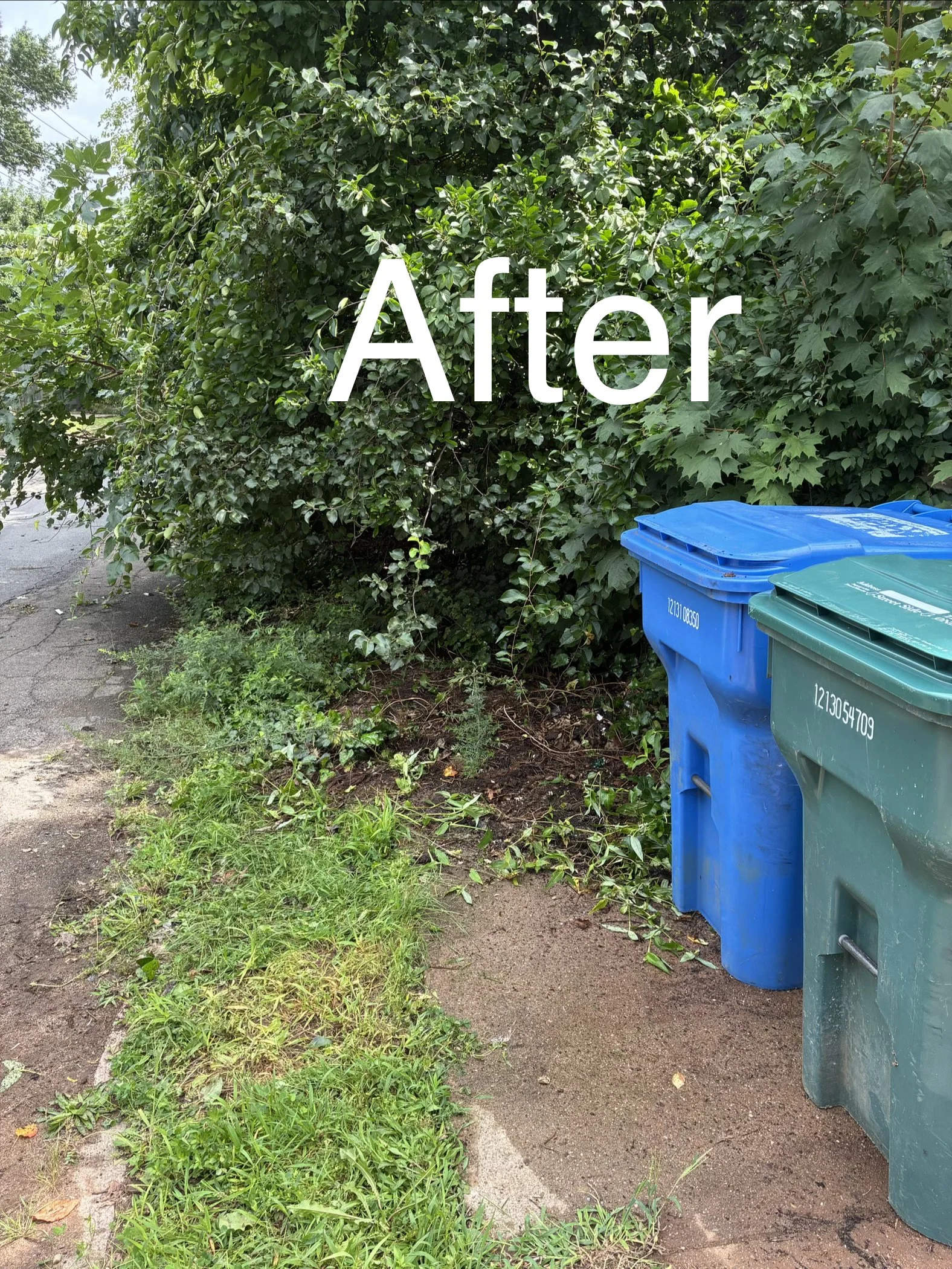 Property after junk cleanup