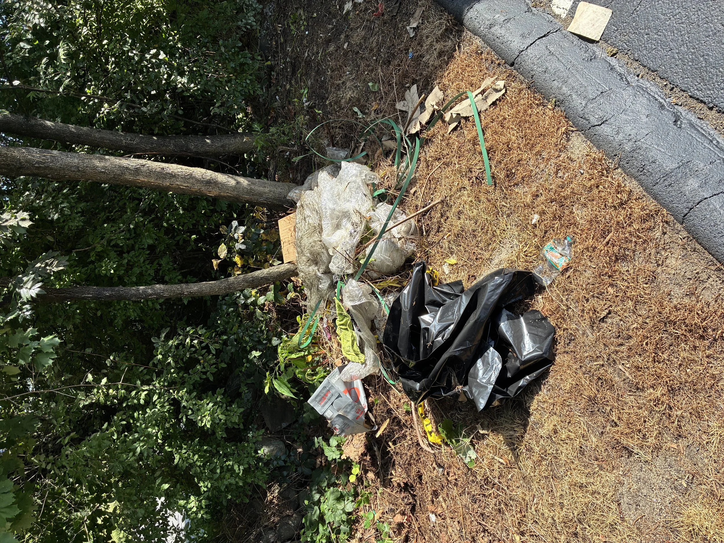 Curbside area before junk removal