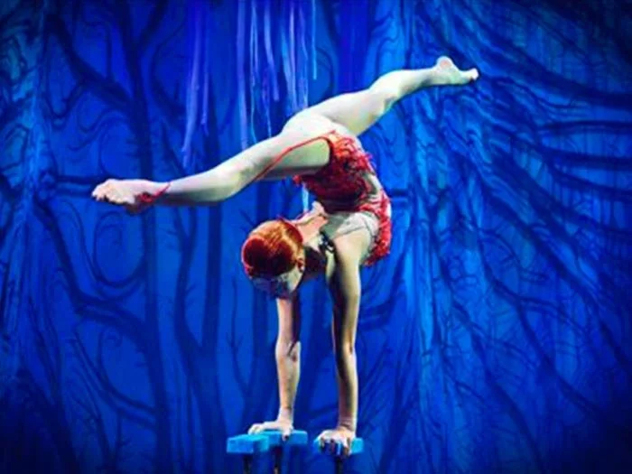 Cirque du Soleil JOYÀ en Riviera Maya