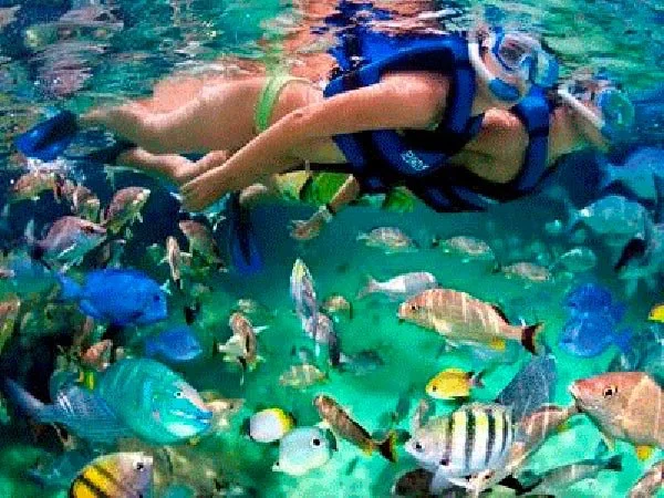 Xel-Há cerca de Playa del Carmen