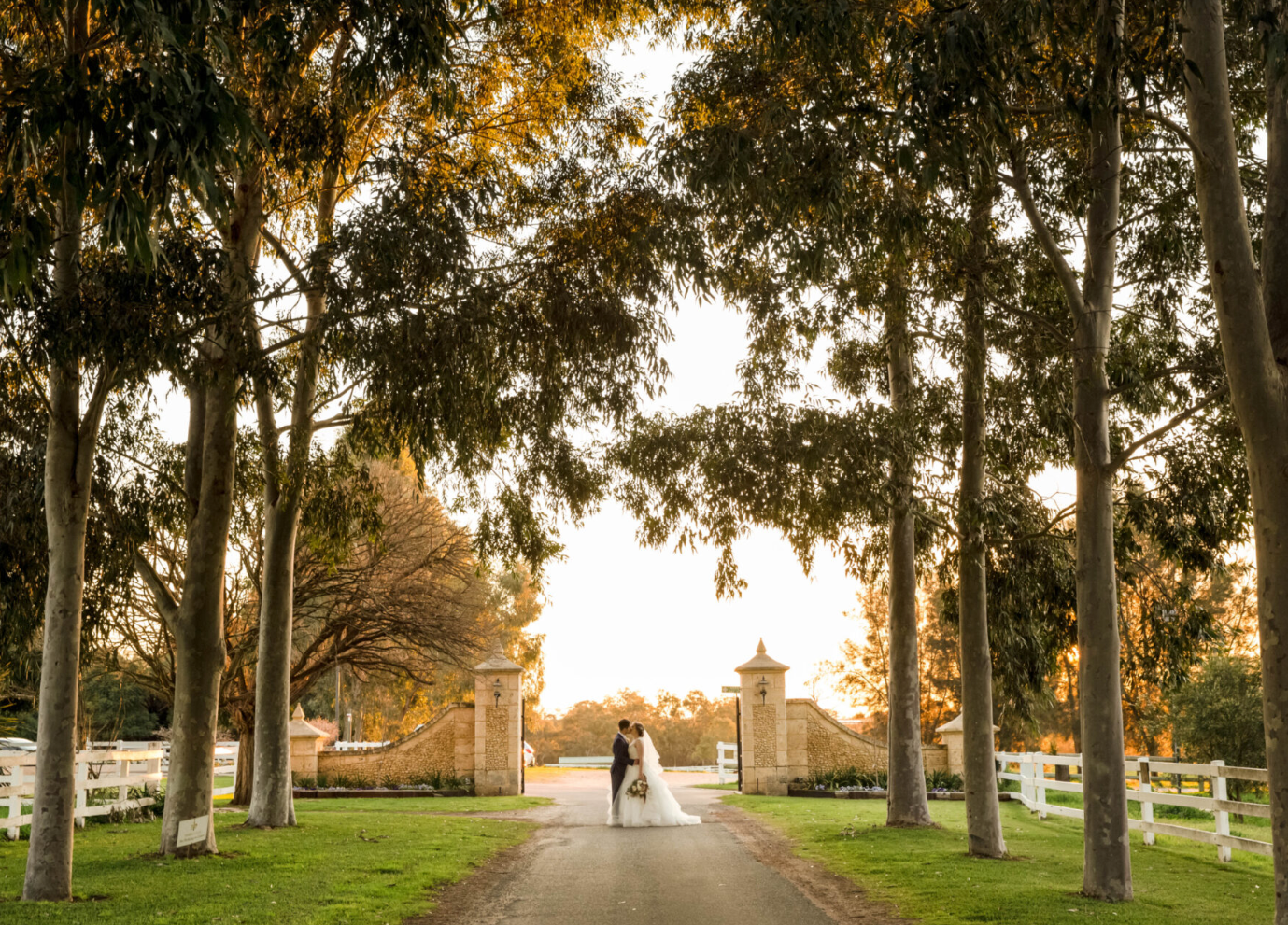 Jacaranda drive at Brookleigh Estate