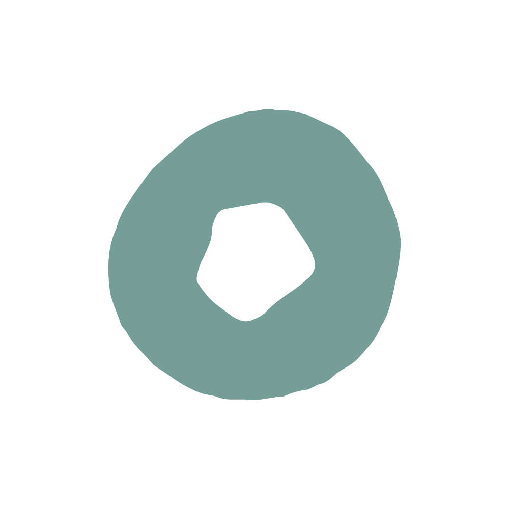 Icon 5
