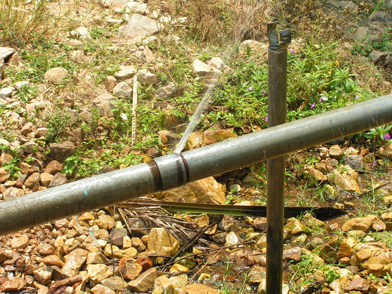 Burst pipe repair in Paramount, CA by Ser Plumbing