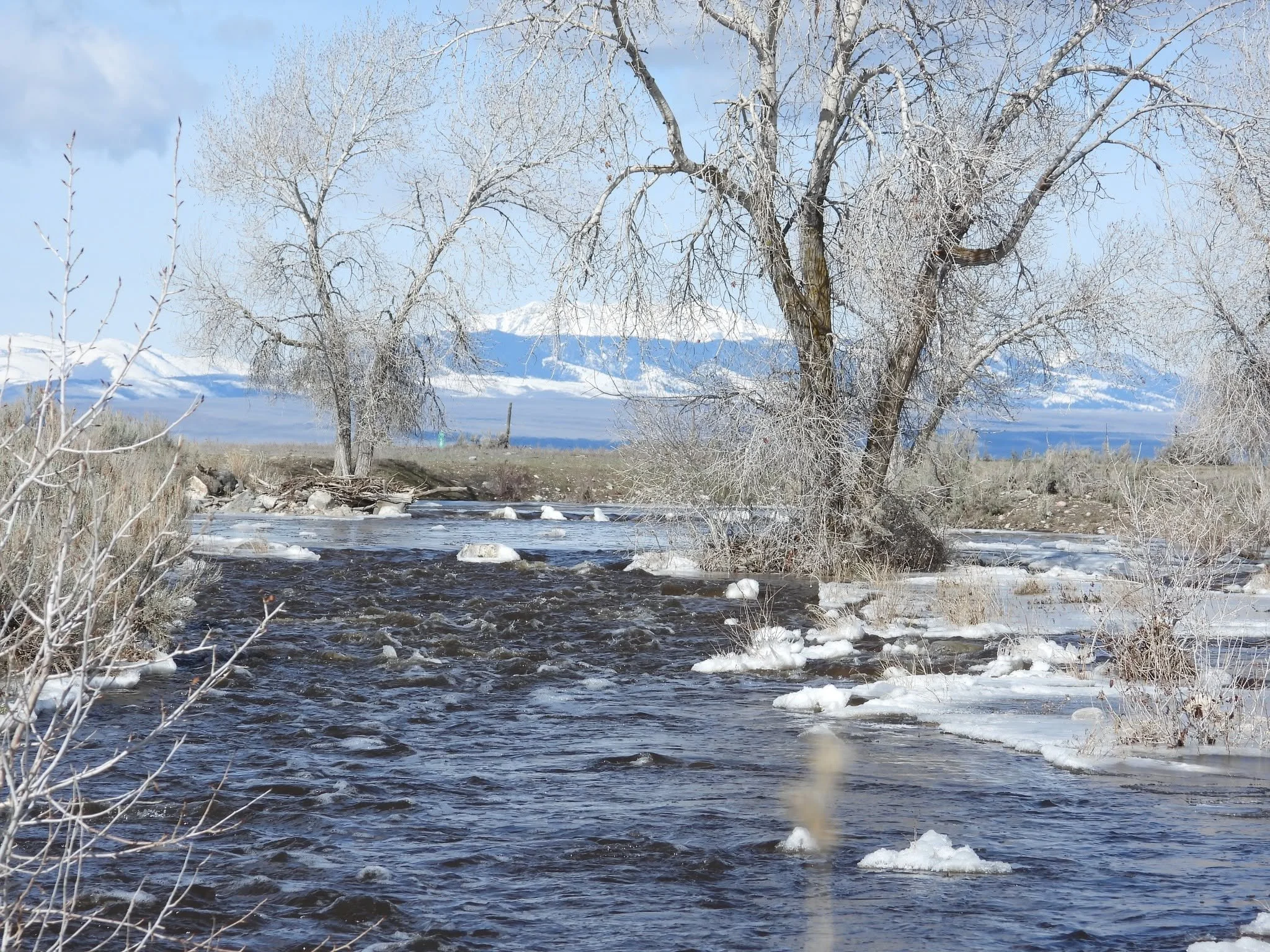 A flowing river winds between snowy banks and bare trees.