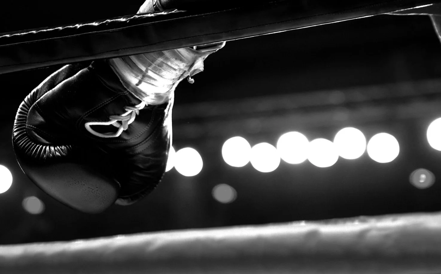Creed II visual identity