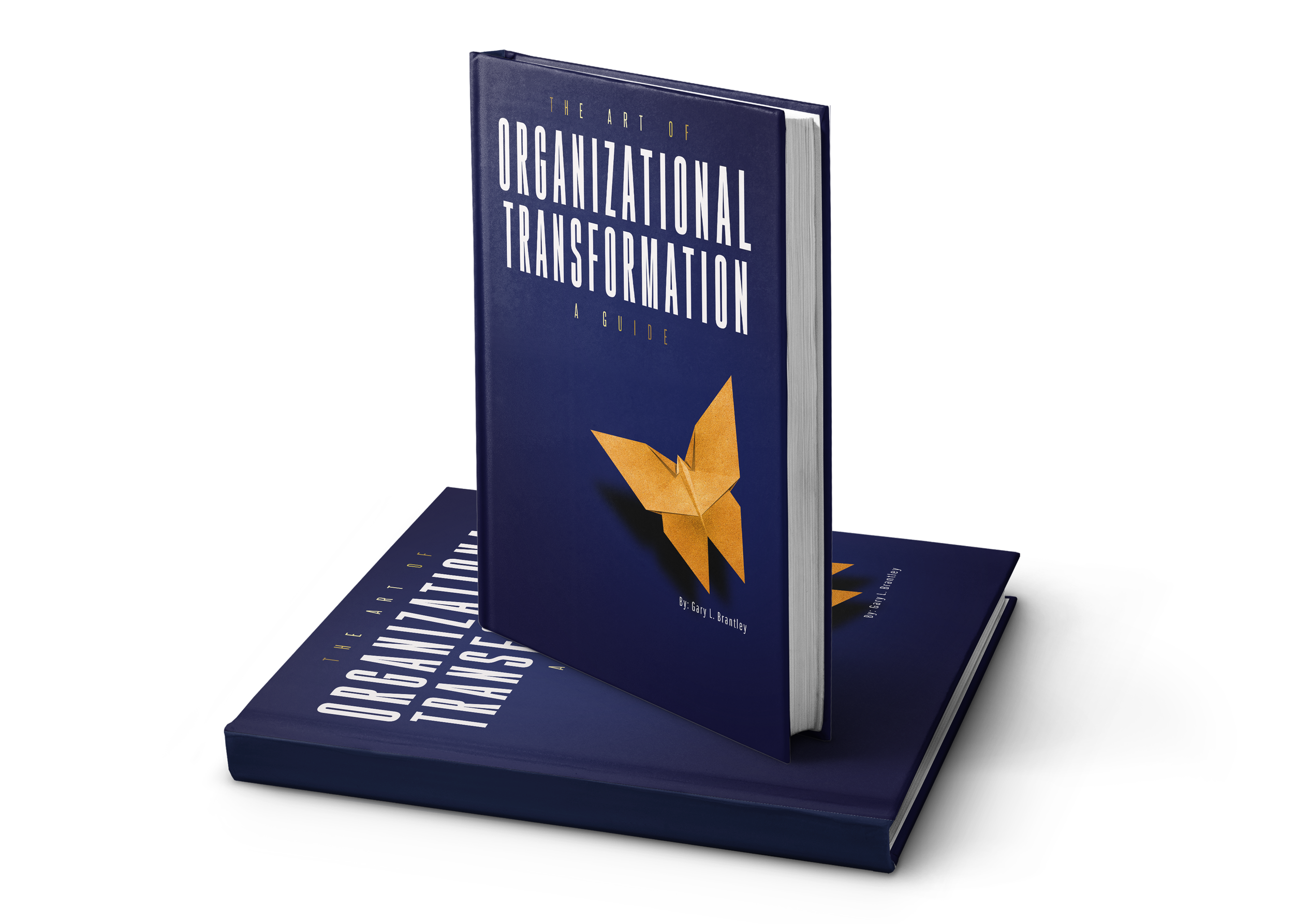 The Art of Organizational Transformation publication design mockup