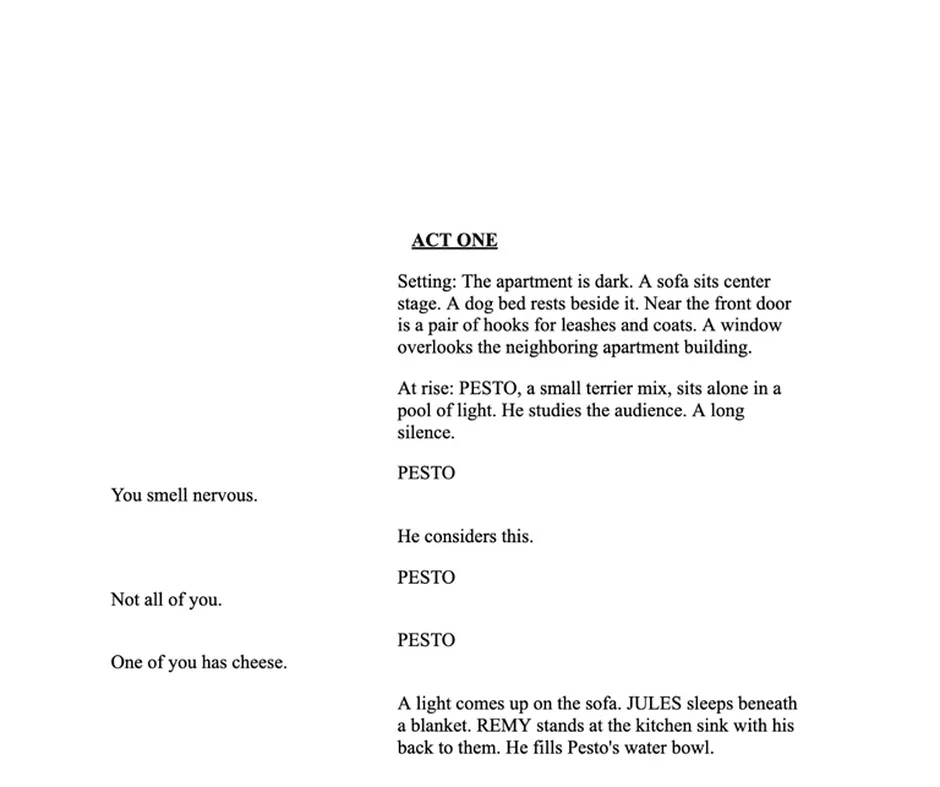 A stage play page in Google Docs, before Quick Adapt