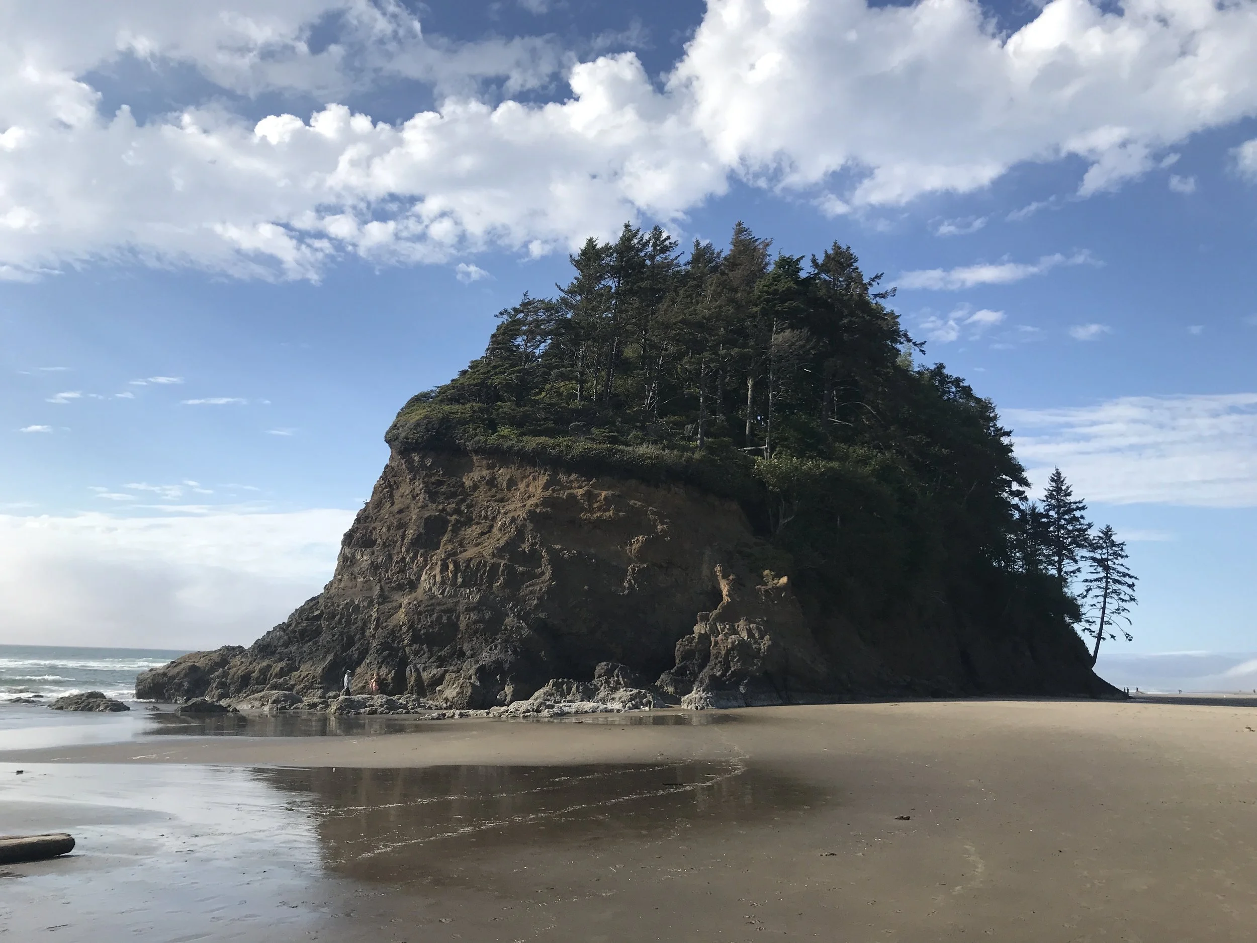 The Oregon Coast near Pinecrest