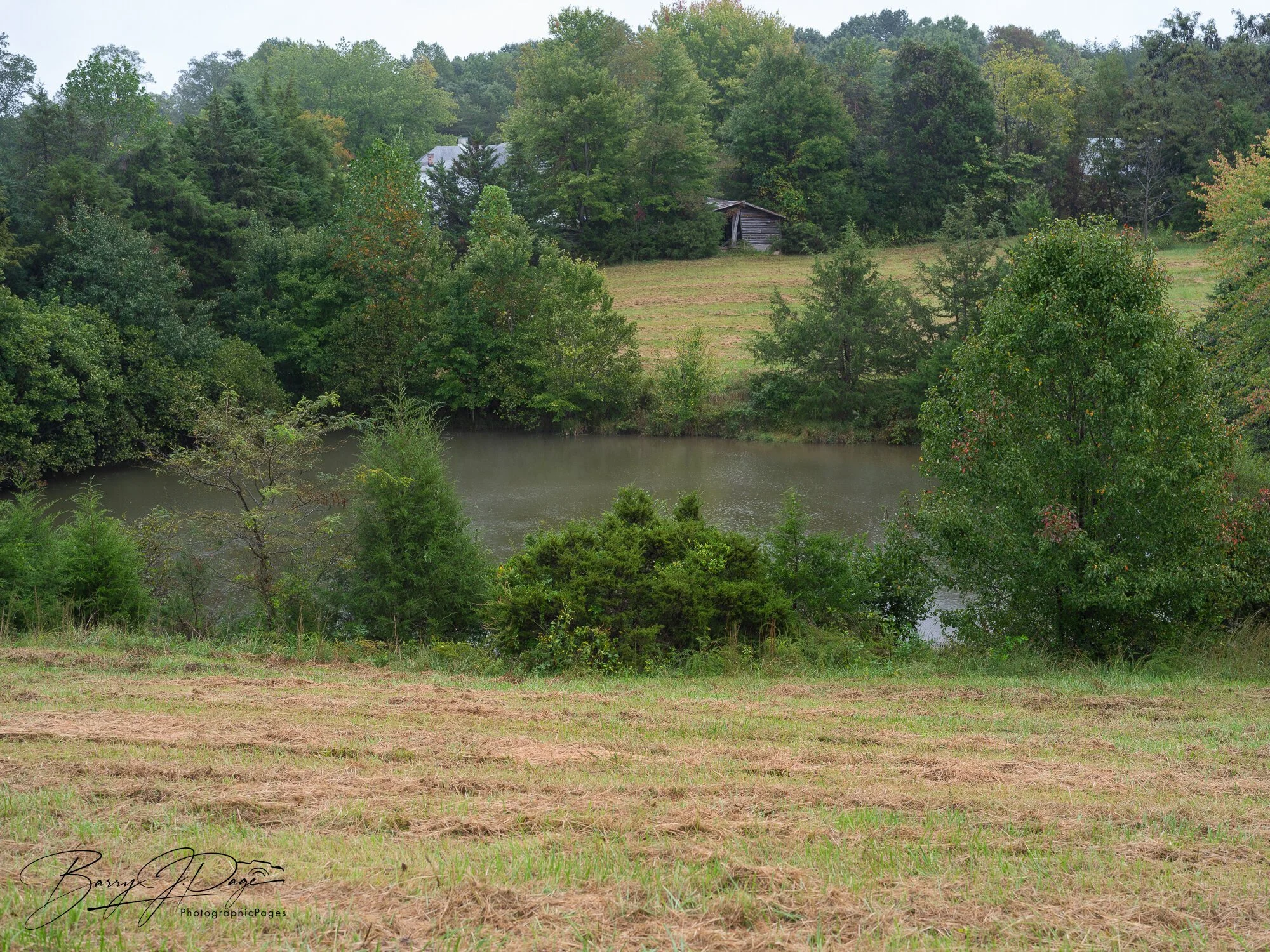 Pond bordered by field and woodland at Hendricks Family Farm.