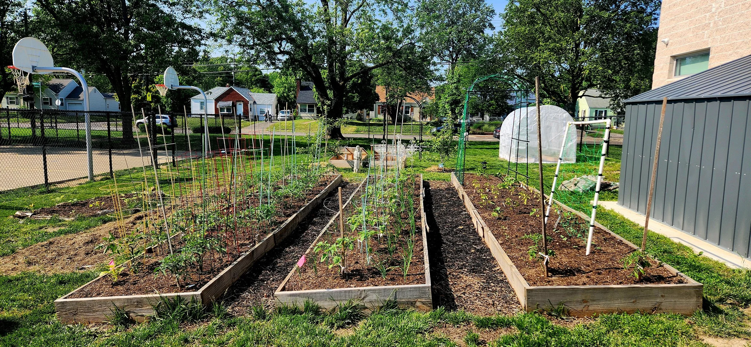 Community Garden